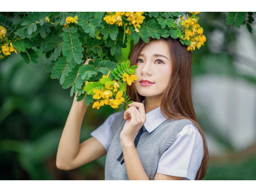 手游天龙八部华山怎么样(新天龙八部手游大熊怎么打)