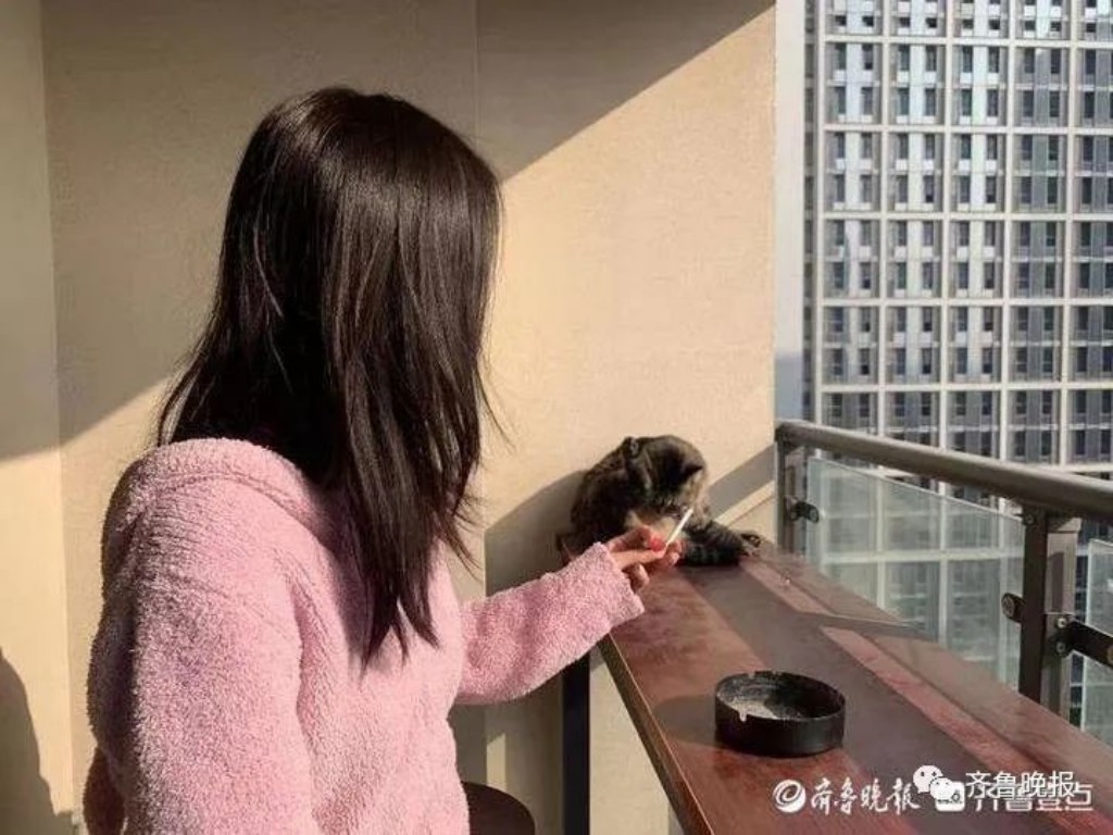 手游天龙八部全7多少钱(天龙八部手游怎么上PC端)