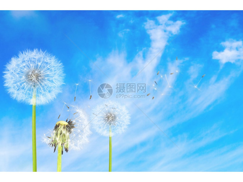手游天龙八部地府怎么玩(天龙八部手游校场怎么pk)缩略图