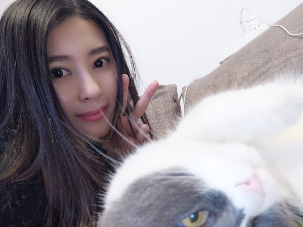天龙八部手游紫图怎么开(天龙八部手游如何帮会求助)