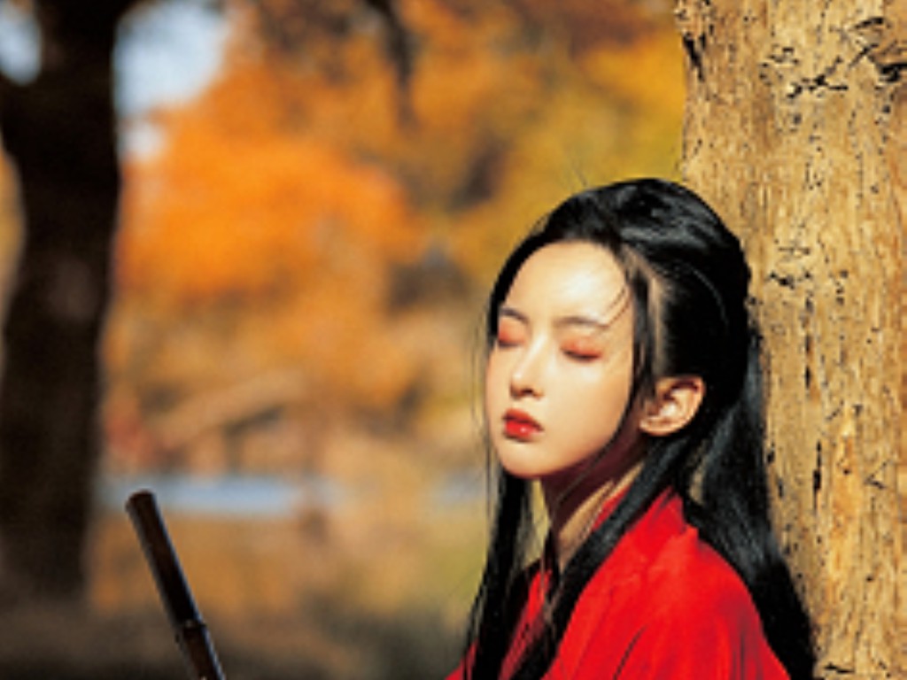 天龙八部手游奶妈怎么副本(天龙八部手游内胆如何获得)