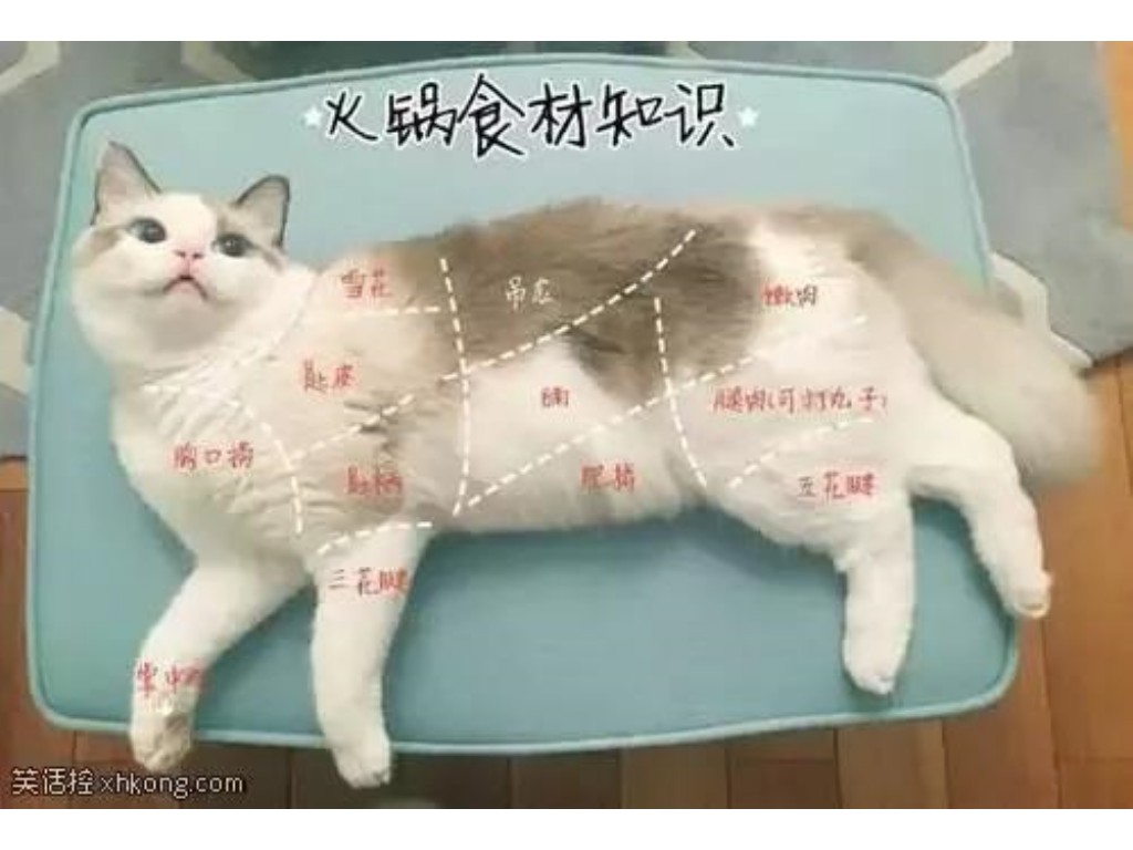 天龙八部手游如何发布跑环(天龙八部手游怎么关闭弹幕)